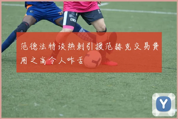 范德法特谈热刺引援范赫克交易费用之高令人咋舌