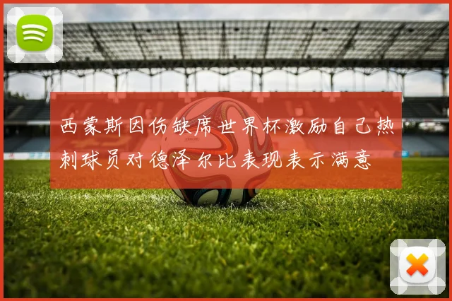 西蒙斯因伤缺席世界杯激励自己热刺球员对德泽尔比表现表示满意